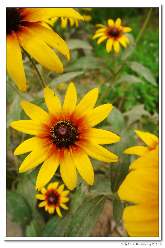 P1250204