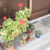 川越にて