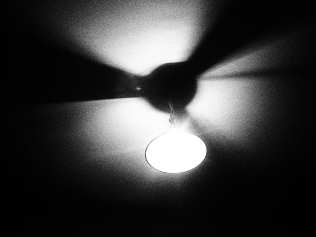 light