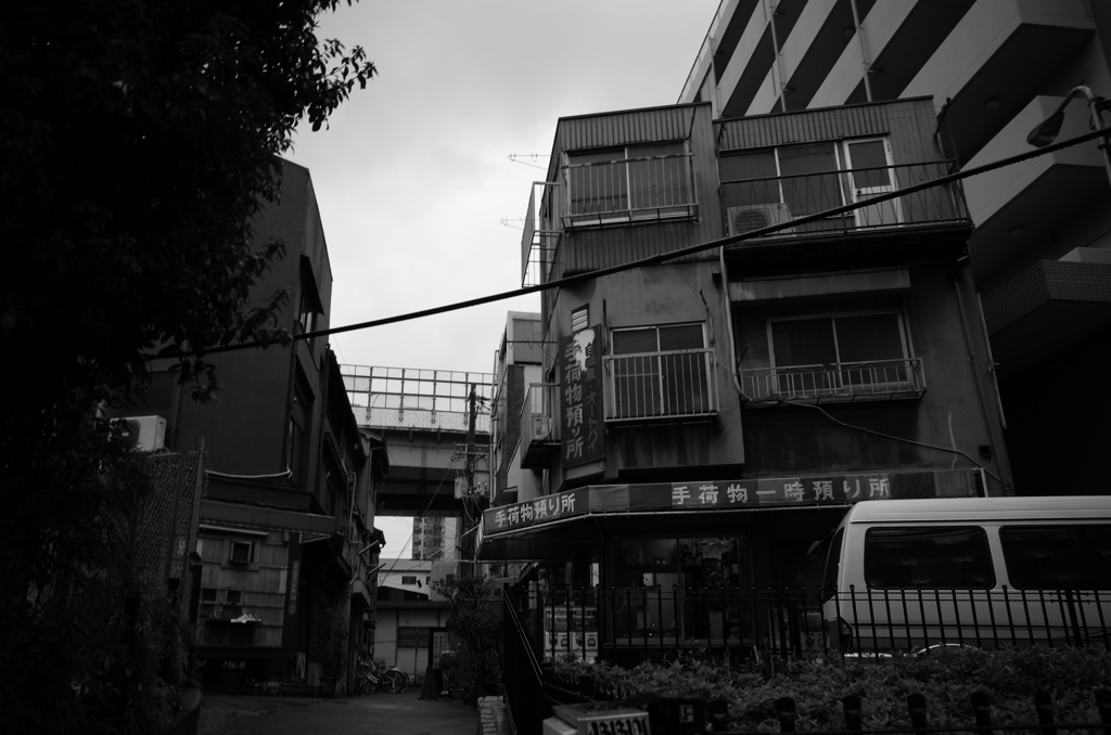 新世界