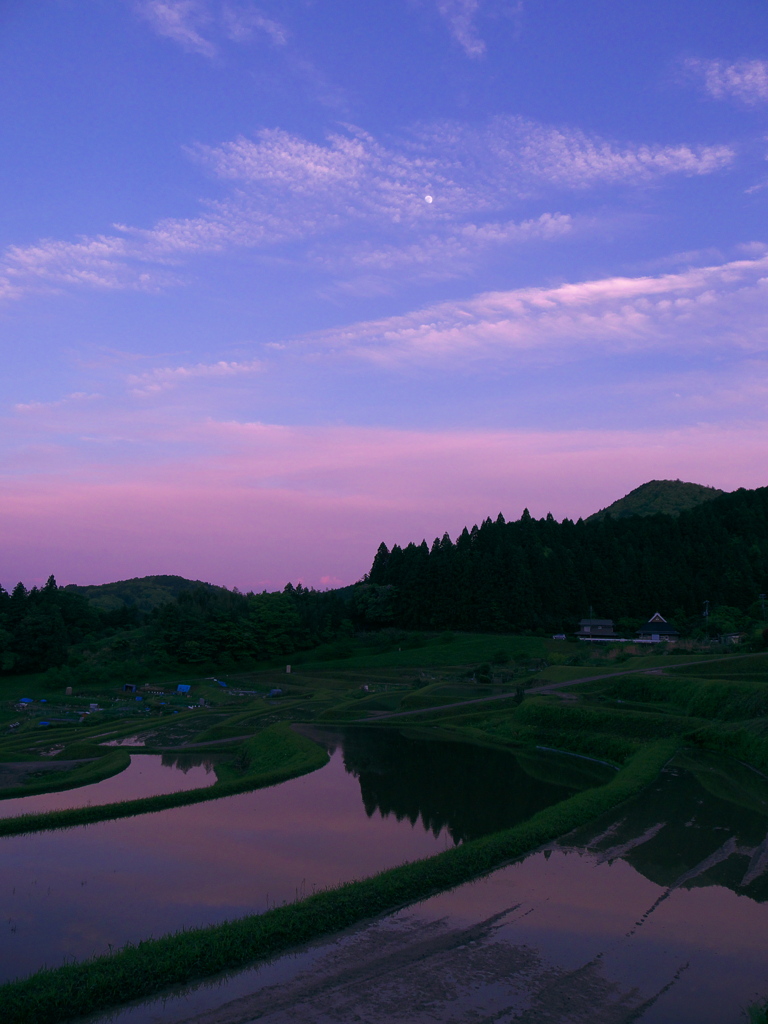 棚田夕景