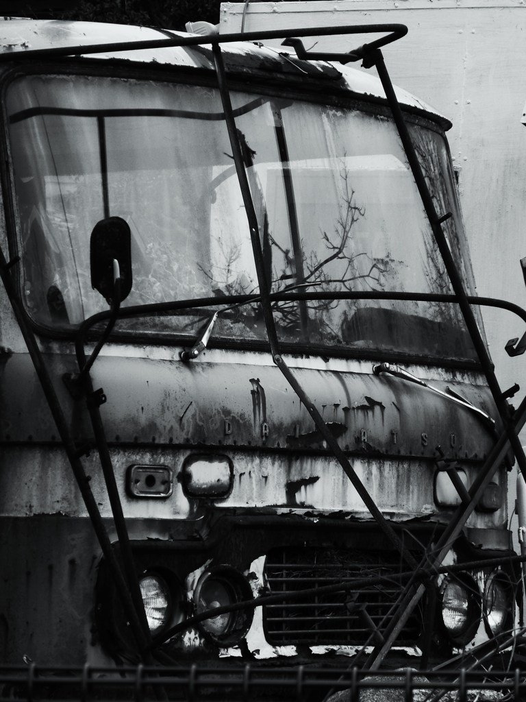 P1030536