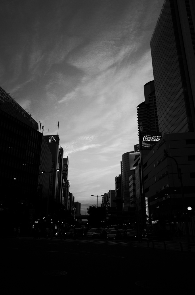 桜橋