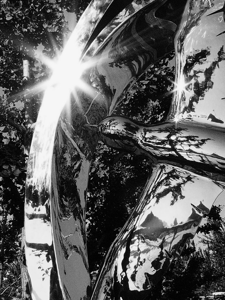 太陽に向かって