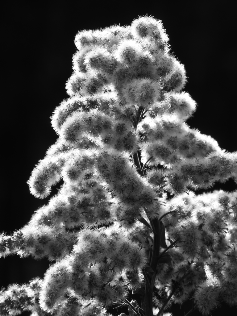 P1030508