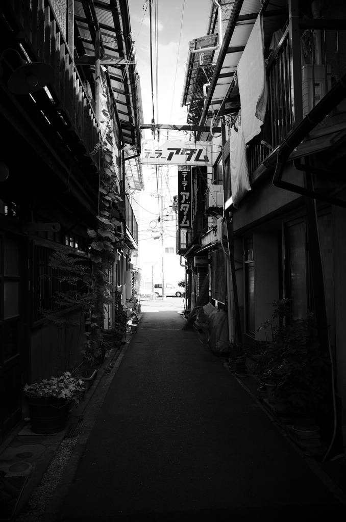 尾道