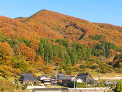 P1000277