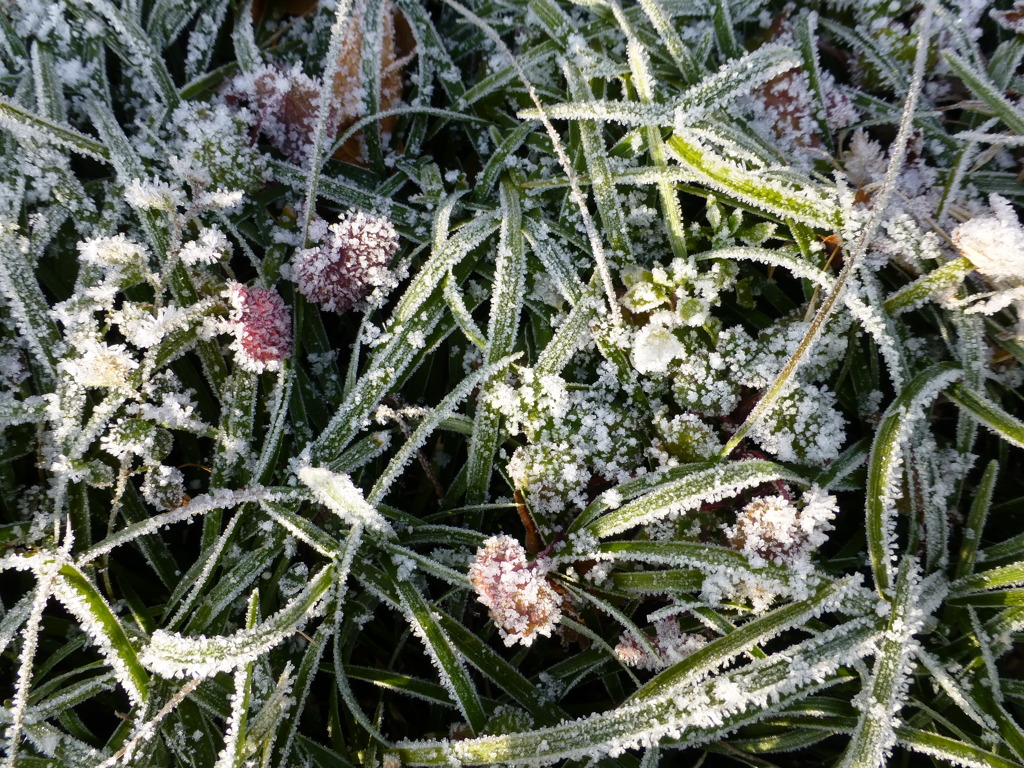 P1030540