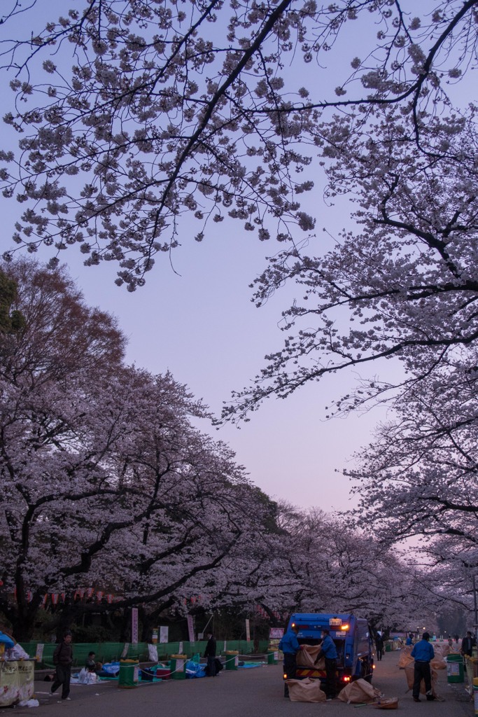 お花見も誰かの仕事で出来ている