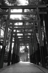 五條天神社