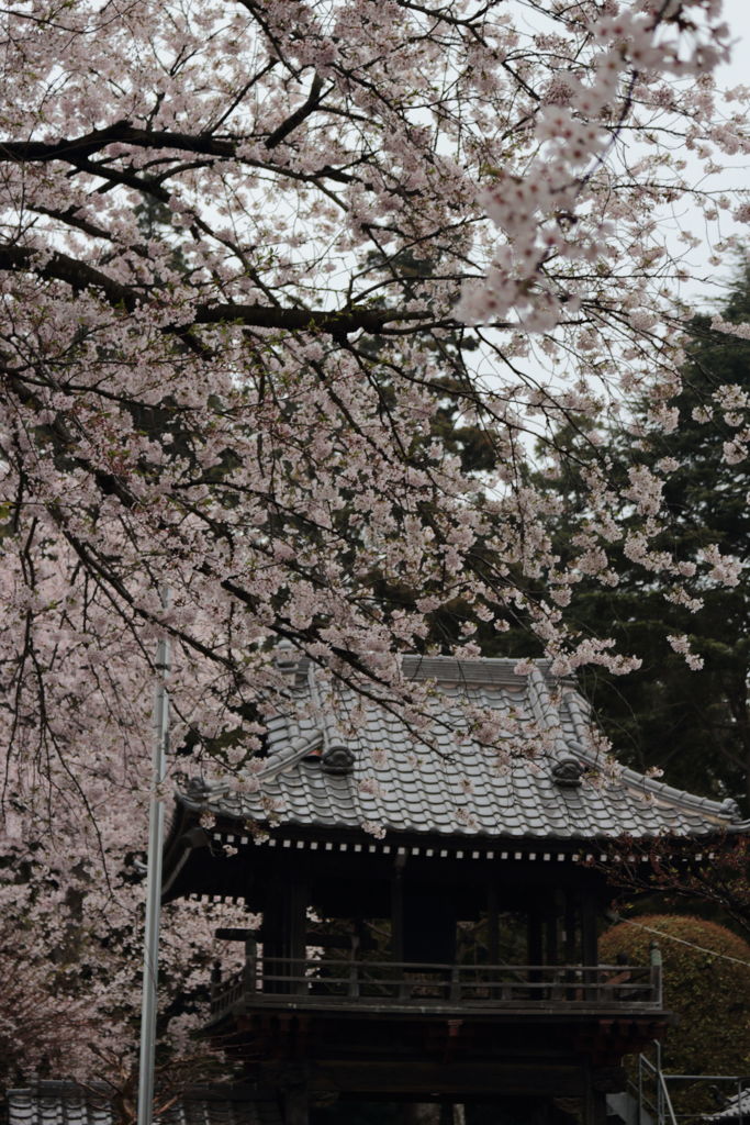 正泉寺