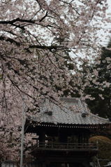 正泉寺