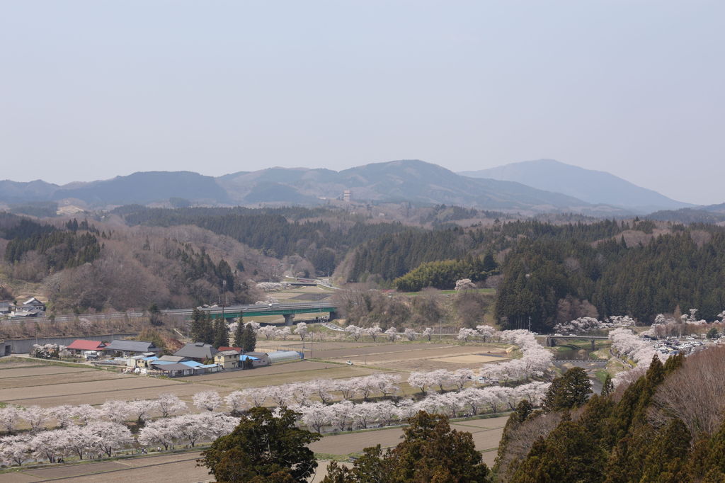 夏井展望台より