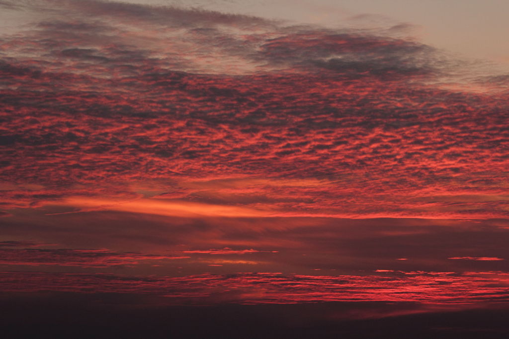 赤い鱗雲 By シロカメ Id 写真共有サイト Photohito