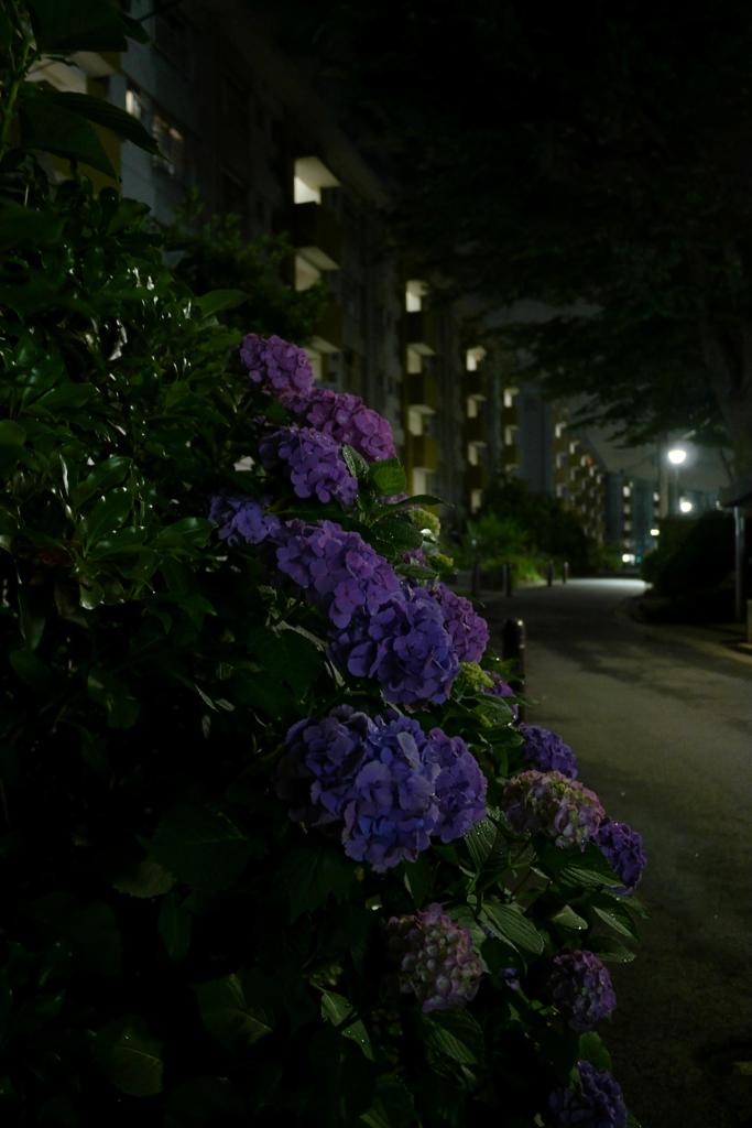 通勤風景#帰宅