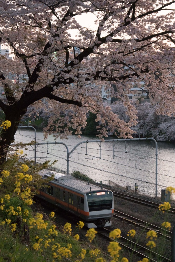 外濠公園から