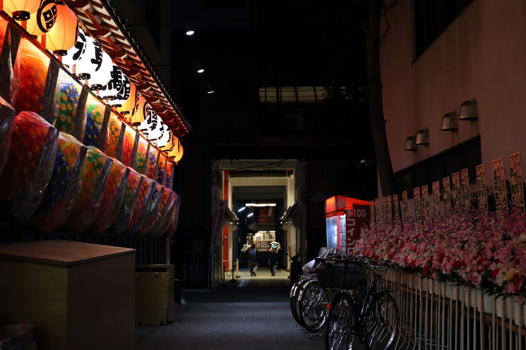 夜の浅草の小道