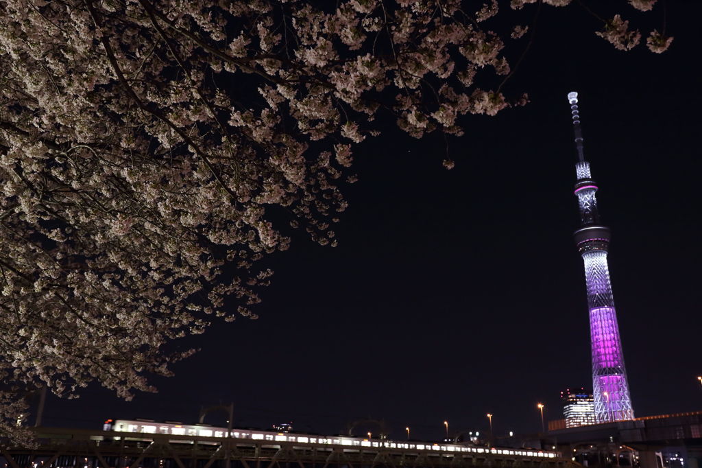 桜とスカイツリーと東武線