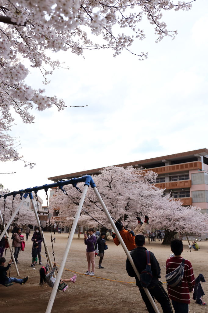 学校の誇り