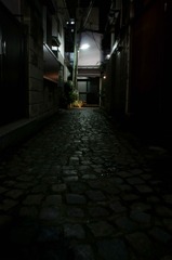 路地裏