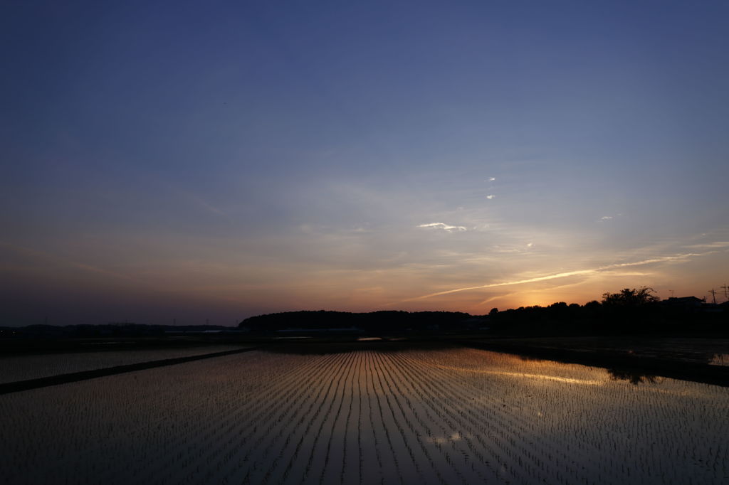 遠き山に