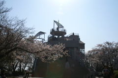 桜とレストハウス