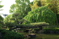 公園の中の庭園