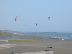 夏の大磯海岸の風景