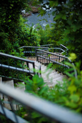 緑の階段