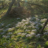 陽だまりの花