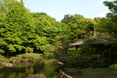 公園の庭園2