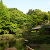 公園の庭園2