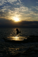 夕日に照らされる鳶