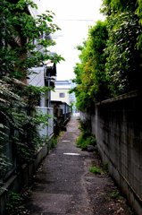 裏道です02