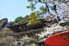 春の圓教寺