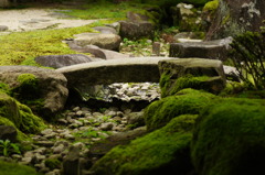 苔むす岩にかかる橋