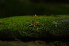 これから夏本番なのに＾＾；