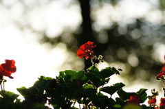 朝日に向かって！！