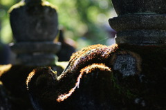 和・・・・なごみ