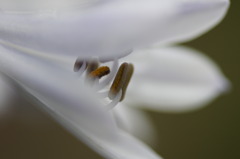 やさしさに包まれて♪♪