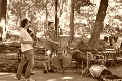 Jazz
