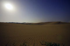 月の砂漠－tottori　sanddune－