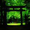 Green space - 癒しの空間 -