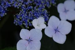 水無月の宇宙（そら）