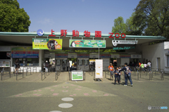 東京2013ー4