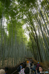 2018京都・嵐山4