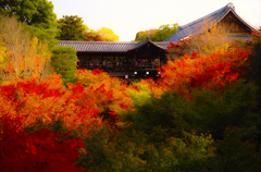 興福寺紅葉