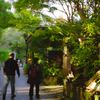 興福寺までの通り