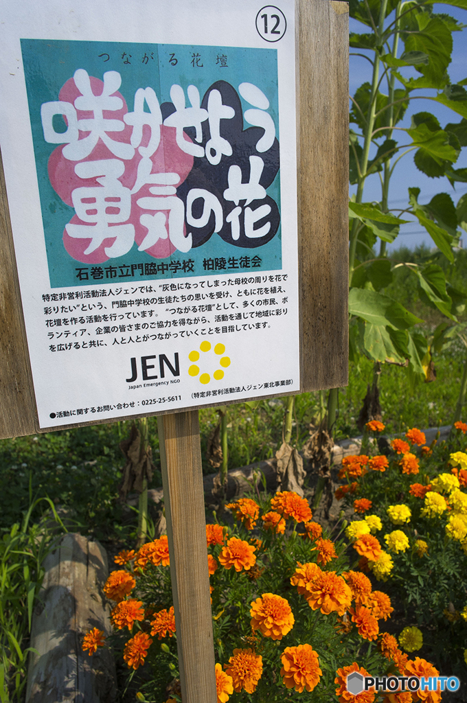 日本プチ旅-13