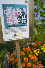 日本プチ旅-13